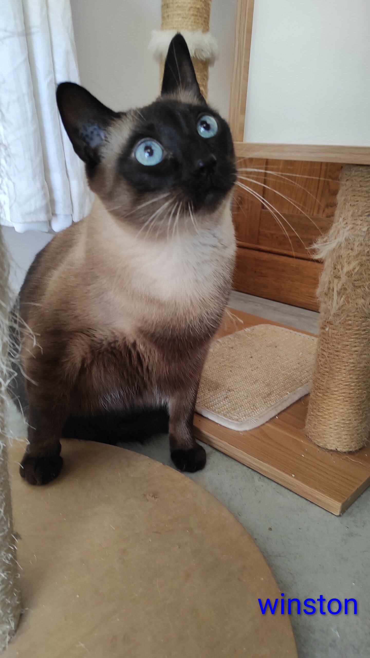 IMG_20251104_094514~2