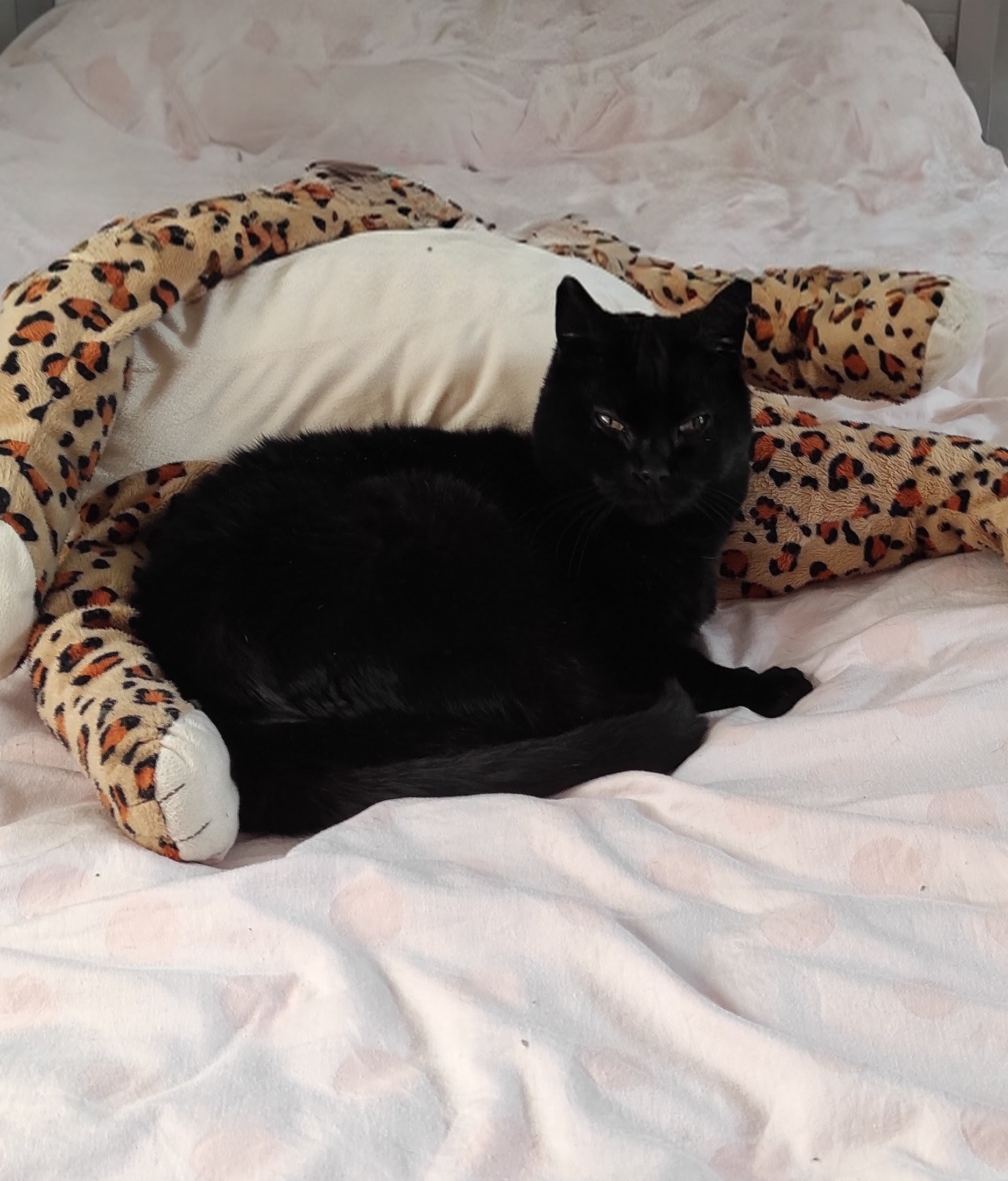 IMG_20260101_150717~2