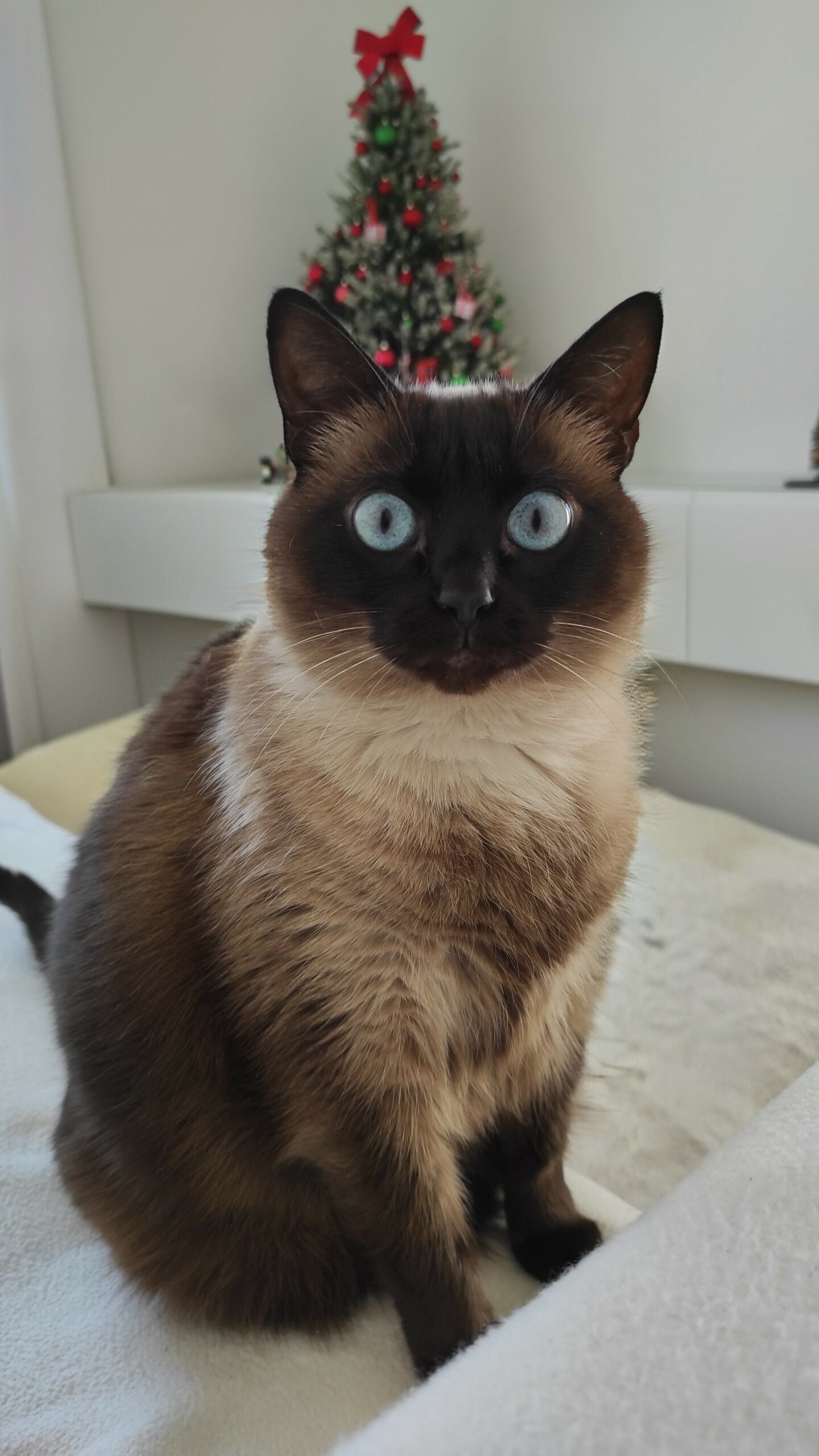 IMG_20260125_122928~2