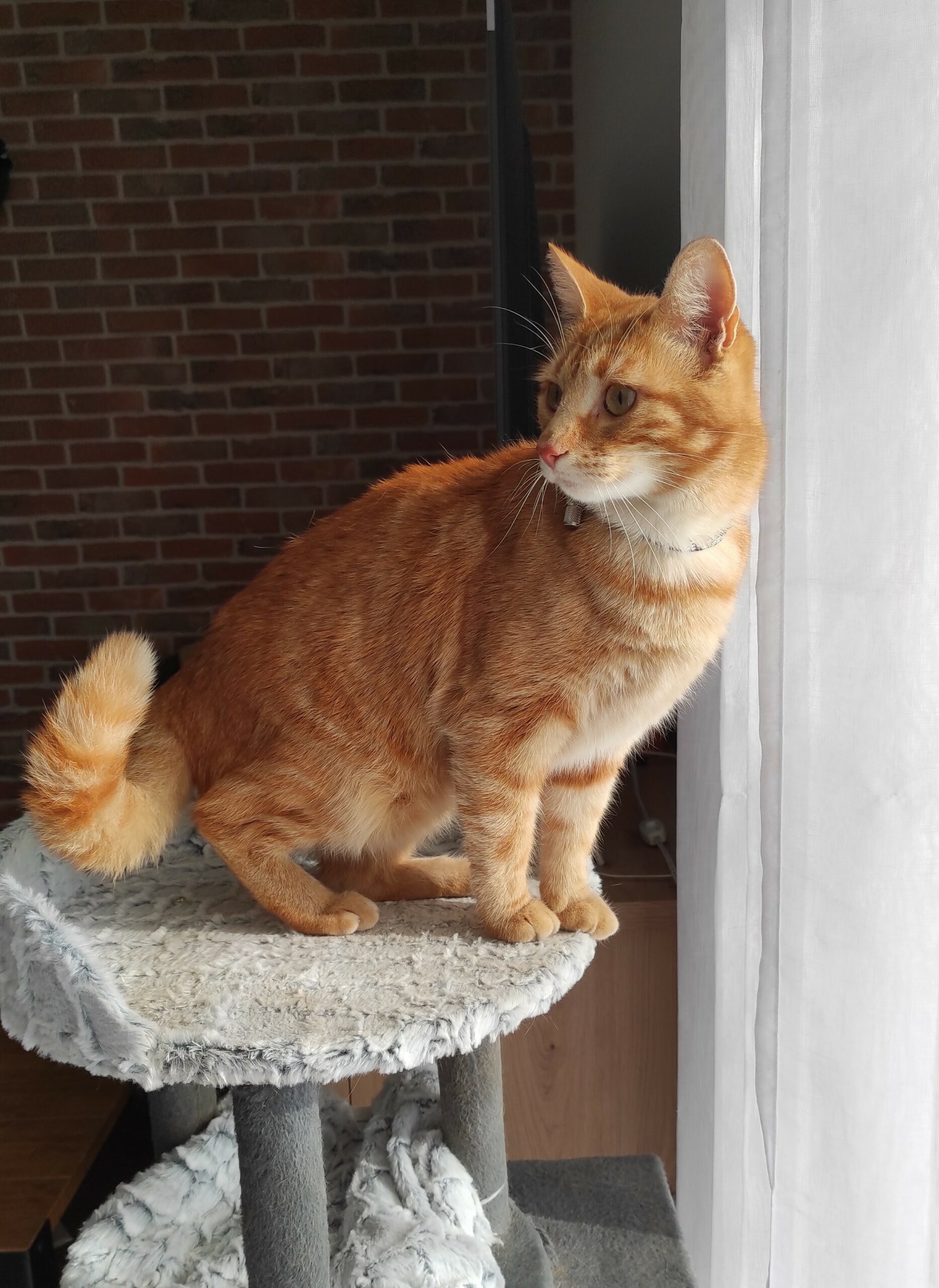 IMG_20260223_101339~2