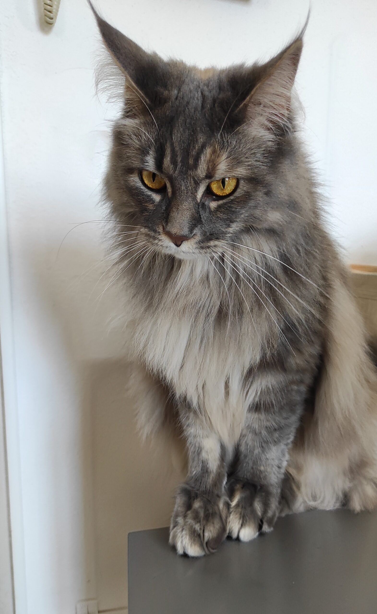 IMG_20260223_160923~2