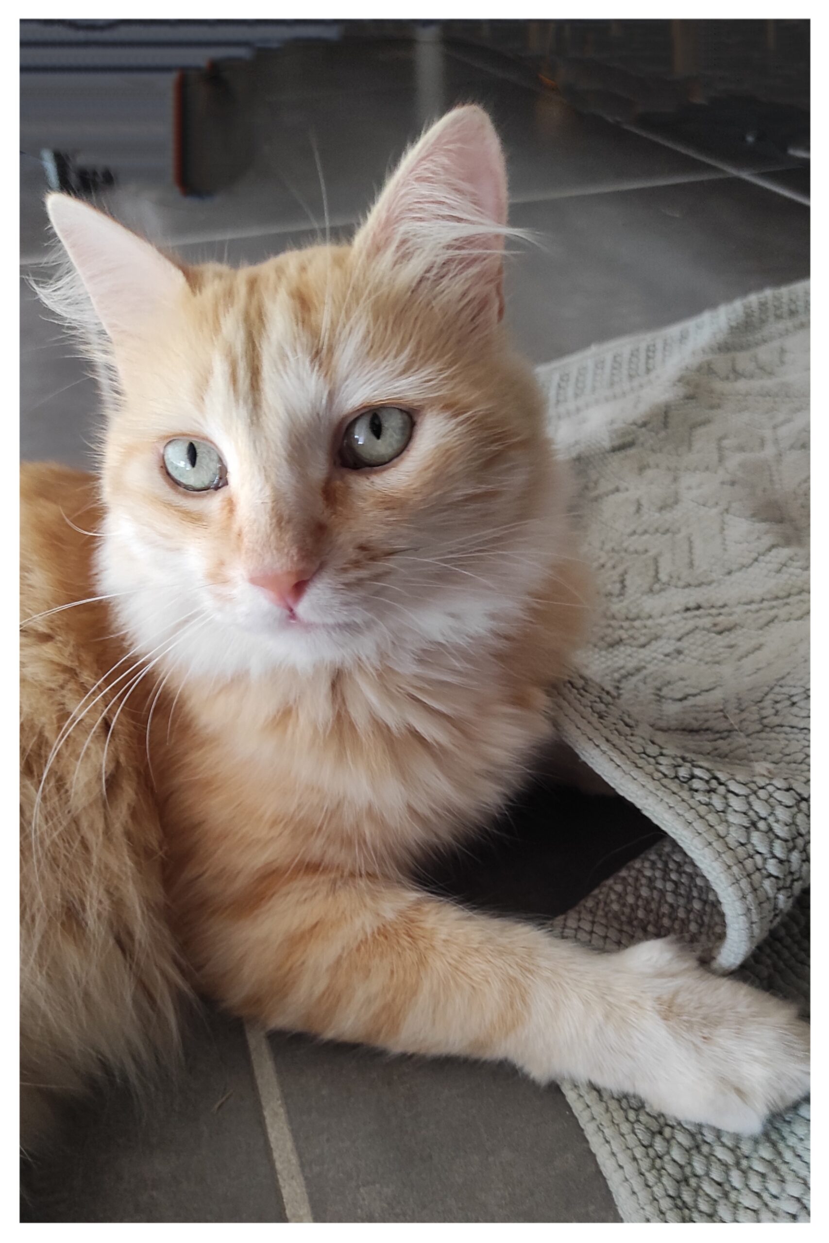 Polish_20250829_114952843