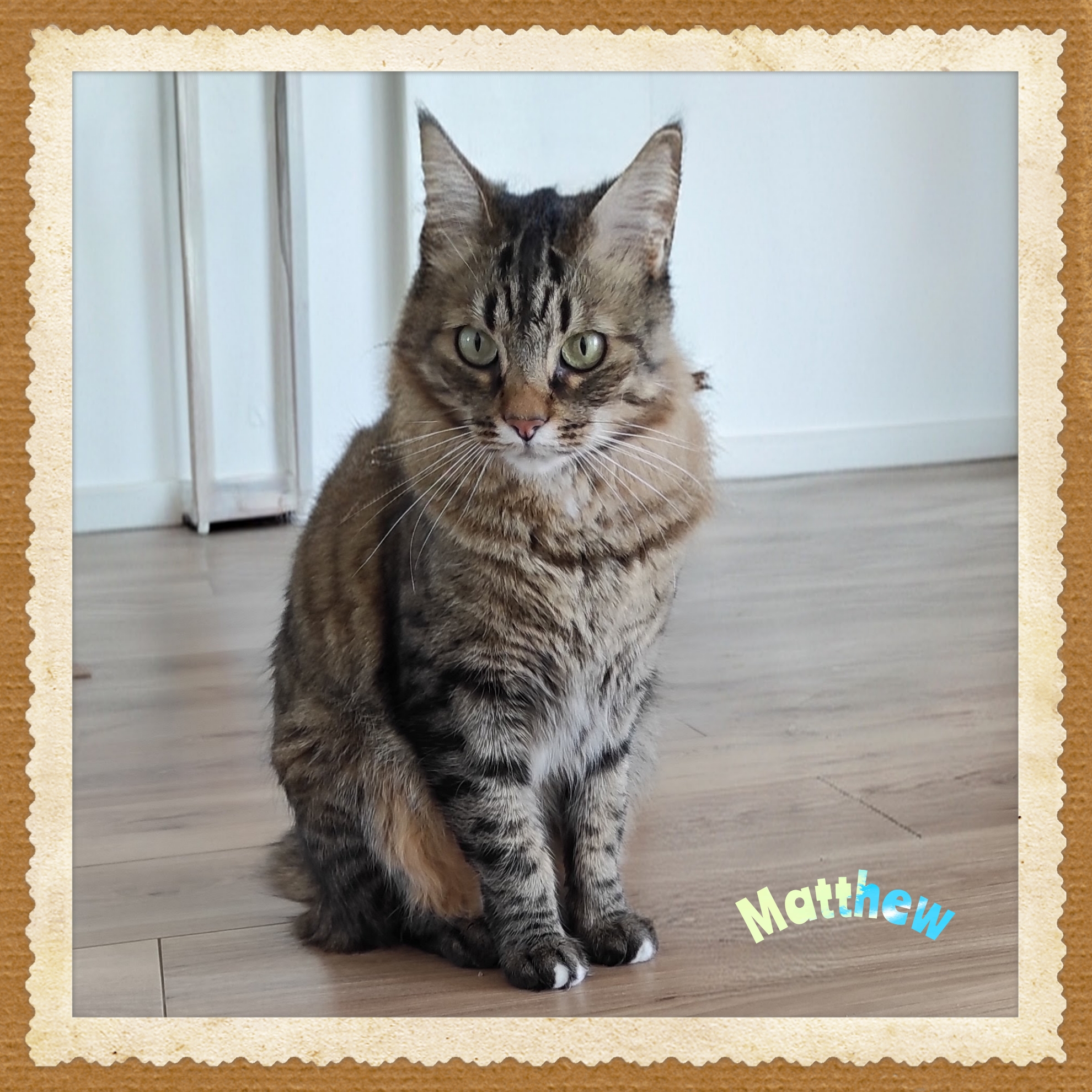 Polish_20260215_121222552