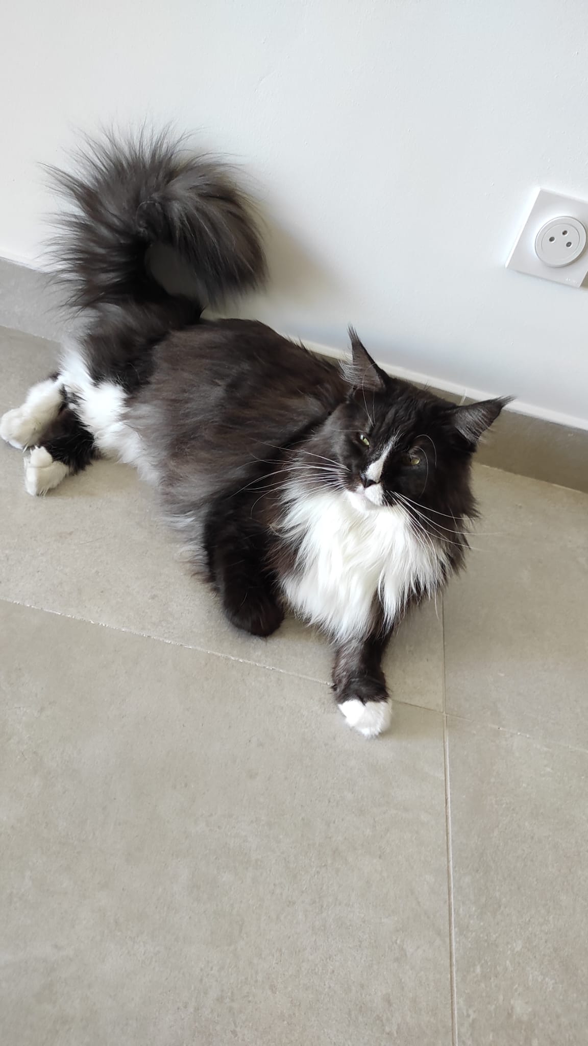 WhatsApp Image 2026-02-25 at 13.39.27